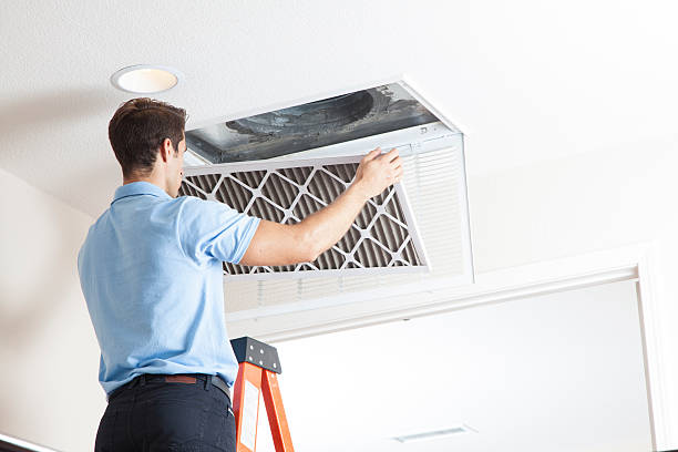 Best Air quality test  in Sierra Ridge, CO